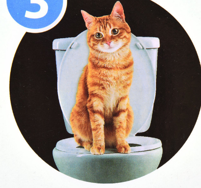 Cat Toilet Training Seat