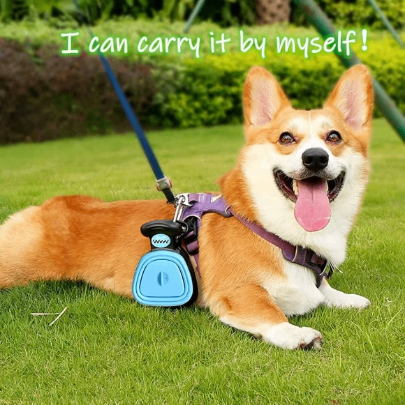 Pooper Scooper Compact