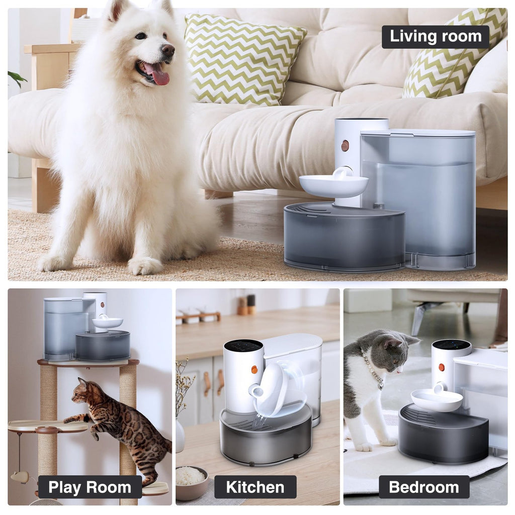 Cordless Pet Water Fountain in Use
