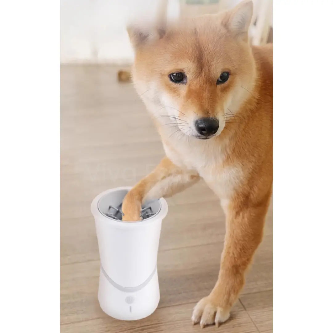 Automatic Pet Paw Cleaner - Package