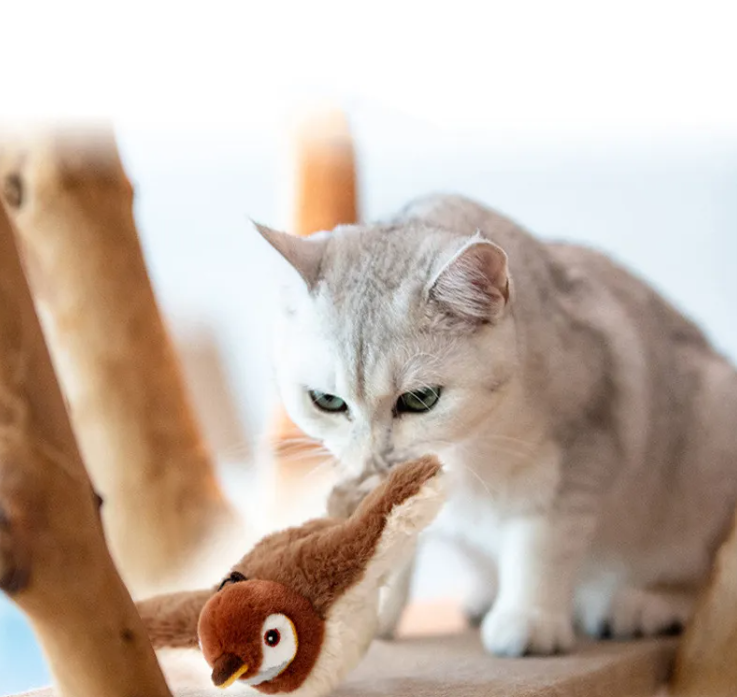 Interactive Bird & Fish Plush Cat Toy – Motion, Sound & Catnip