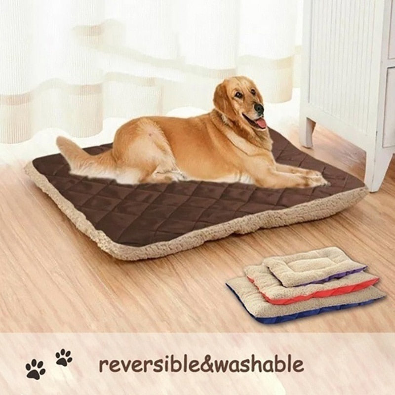 Dog Cooling Mat - lifestyle